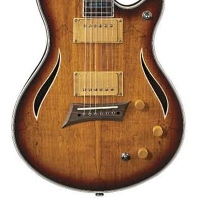 Michael Kelly Hybrid Special, Spalted Maple Burst Top, Chambered Mahogany Body image 2