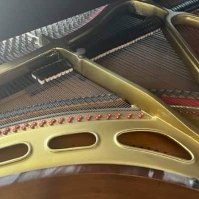 Brambach Grand Piano for under $1000 image 3