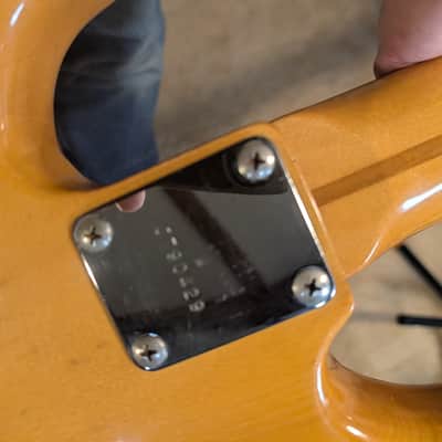 Greco PB-500 P Bass 1980s - Natural image 14