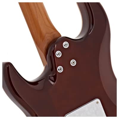 Jet JS-450 TBK 450 Series Basswood Flamed Maple Top Body Canadian Roasted Maple Neck 6-String Electric Guitar image 6