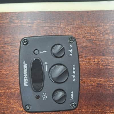 Fender Tim Armstrong 12 String Hellcat Matte Acoustic/Electric Very Nice! image 13