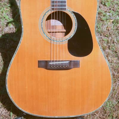 1978 Yairi  YW-600 Coral Rosewood(New Jacaranda ) Body Natural Bargain image 3