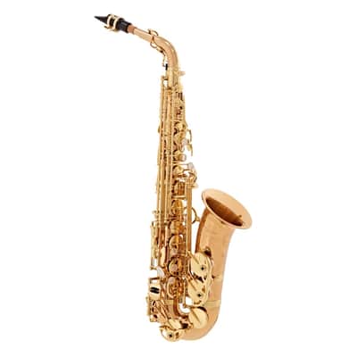 Yanagisawa A-WO20 Alto Saxophone image 1