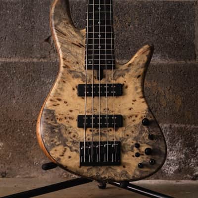 Fodera Emperor 5 Standard Special Buckeye Burl Butterfly (End-2024) image 1