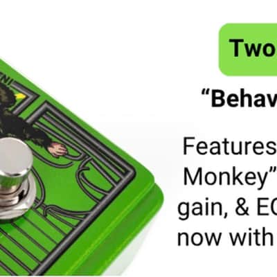 DigiTech Badder Monkey New Bad Monkey image 12