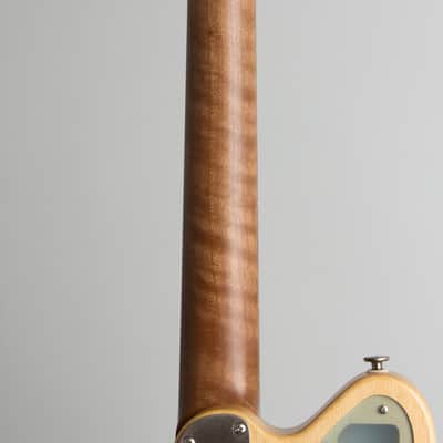 Deimel Guitarworks  Bluestar Semi-Hollow Body Electric Guitar (2020), ser. #13, original molded black plastic hard shell case. image 9