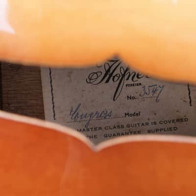 Beautiful True Vintage All Original 1956 Hofner Congress Archtop Guitar, Brunette Sunburst & OHC image 18