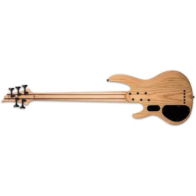 ESP LTD B-205SM Fretless 5-String Bass - Spalted Maple Natural Satin image 5
