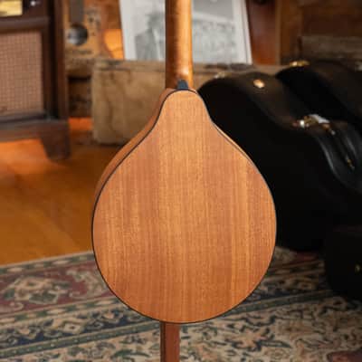 Eastman PCH-M104-NAT Solid Spruce/Laminated Mahogany Natural Flattop A-Style Mandolin #1339 image 9