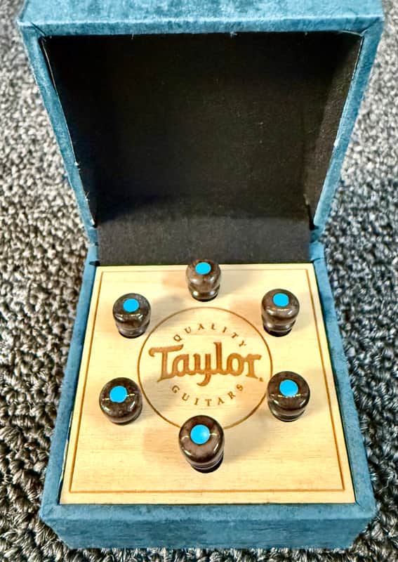 Taylor Bridge Pin 6 Piece Set 5” Taper Brown Bone with Turquoise 7260-8 image 1