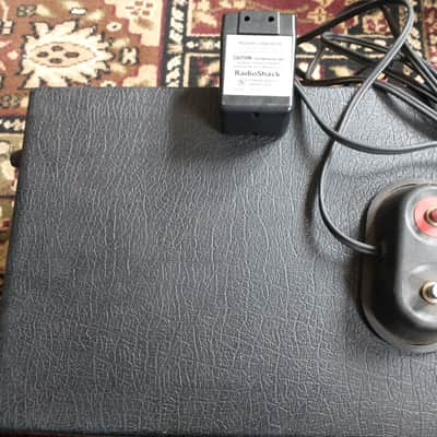 Roland RE-301 Chorus Echo image 2