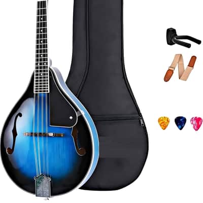 Acoustic Mandolin Instrument Kit Music A Style for Kids | Reverb