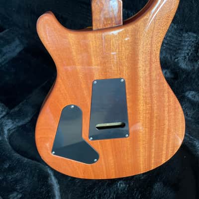 PRS Al Di Meola Signature Prism 2009 - 2014 - Prism image 11