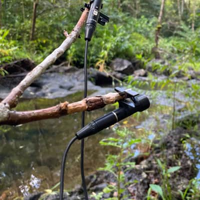 Sonorous Objects SO.1 Omni Microphone - Matched Stereo Pair - Primo EM272 image 6