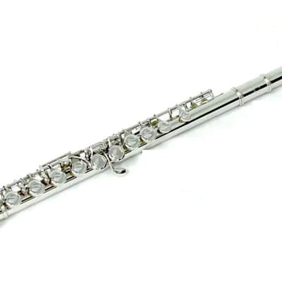 Nickel Closed Hole Flute w Black Case/Shoulder Strap/Handle/Pocket image 1