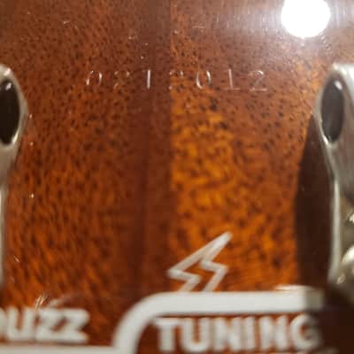 Washburn wi 68 idol USA Derek Trucks image 5
