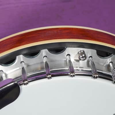 2020s Koda (McNeela) Resonator Tenor Banjo (VIDEO! Fresh Work, Ready) image 7
