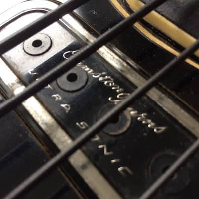 BURNS Black Bison Bass 1964 Black image 3