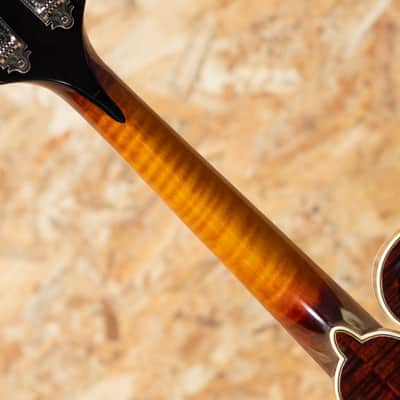 Iwashita Mandolins&Guitars F 5 2024 image 6