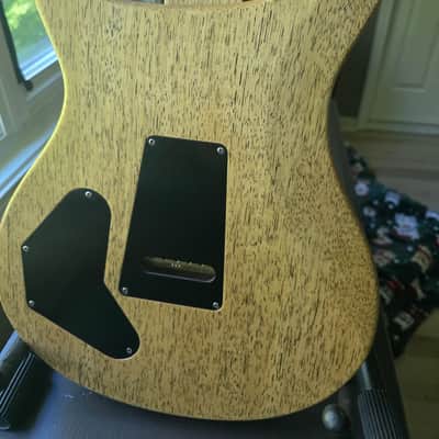 PRS Wood Library 10-top 2024 DGT Copperhead with Korina back and neck image 8