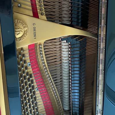 Young Chang G-150 Baby Grand Piano image 4