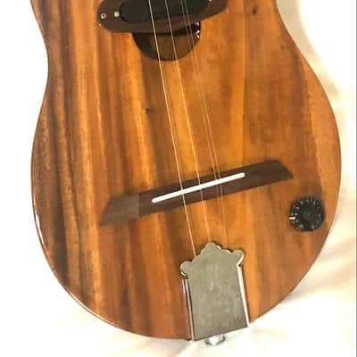Acoustic/electric dulcimer guitars image 12