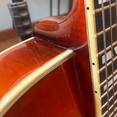 Triggs San Salvador 2004 - Antique Orange Burst image 7