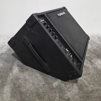 Torque TM100P - Stage Monitor - Angled - Good image 4