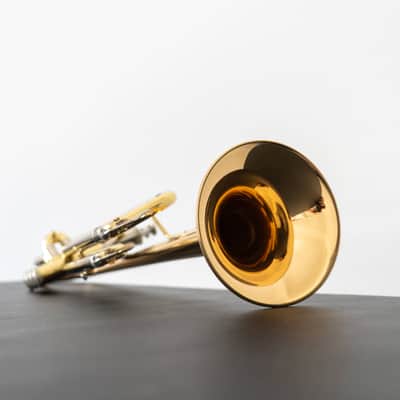 Yamaha YTR-8335IIG Xeno Bb Trumpet with Gold Brass Bell (SN 5731xx) image 15