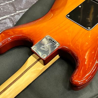 Fender Player PlusTop Stratocaster SSS PF Tobacco Sunburst W/Bag B-Stock Auth Dlr 7lbs15oz #245 image 11