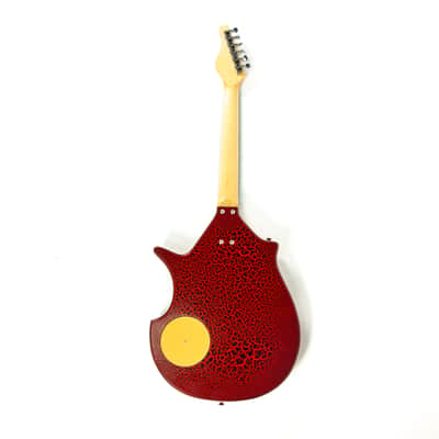 Jerry Jones Electric Sitar Owned by Jay Farrar of Son Volt image 2