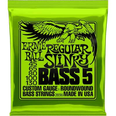 Ernie Ball 2836 Regular slinky 5 cordes 45-130 image 1