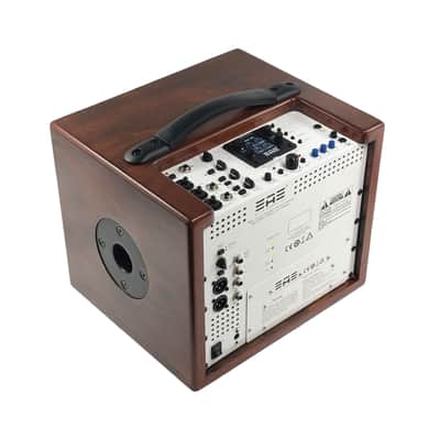 Elite Acoustics EAE D4-8 Rechargeable Acoustic Amp with 4 Channel Digital Mixer/LFP Battery - Wood image 4