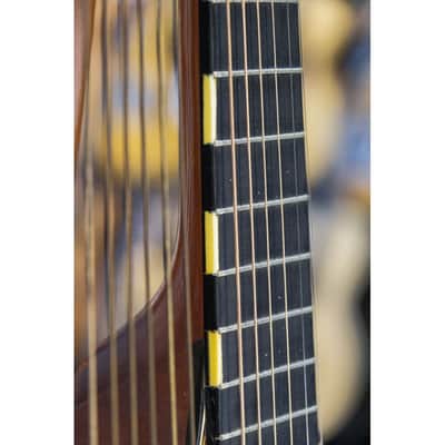 1946 Levin Model 102 12-string Bass Lute natural image 10