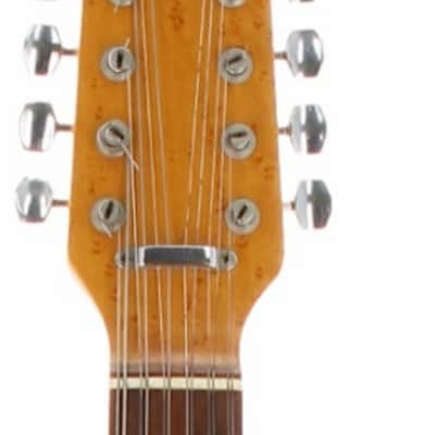 Vintage 1966 Fender Electric XII sunburst w incredible blister bubble maple neck image 5
