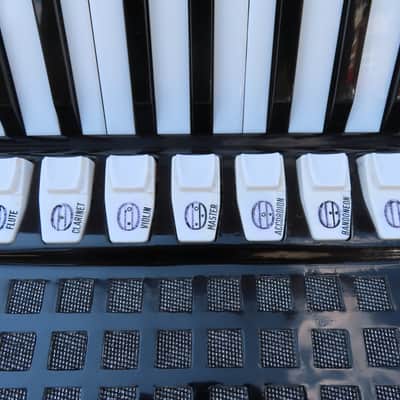 BORSINI BUILT 'MODERN' CUSTOM 120 BASS ACCORDION  {TONY DANNON STUDIO EDITION}  4/5 REEDS with 9/6 REGISTERS CLEAN 1 OWNER! image 3