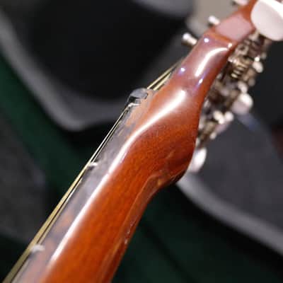 Eko Ranger VI Electroacoustic (Hard Case included) image 6