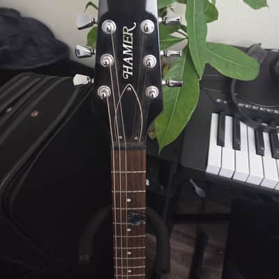 Hamer Xt 2016 - Sunburst black image 1