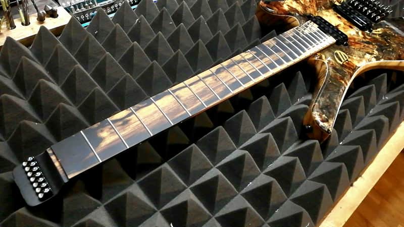 Overload Custom Guitars Themis 2022 | Reverb