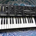Moog Rogue Reconditioned -Massive Analog Sounds