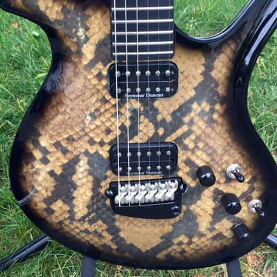 Parker Fly Snake Skin image 4