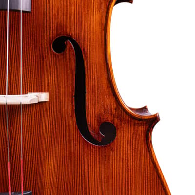 Goffriller Cello 4/4 from One Piece Back - Hand-Made in Romania 2025 #78 image 6