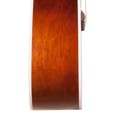 Seagull 046492 Entourage Autumn Burst 6 String RH Acoustic Guitar MADE In CANADA image 3
