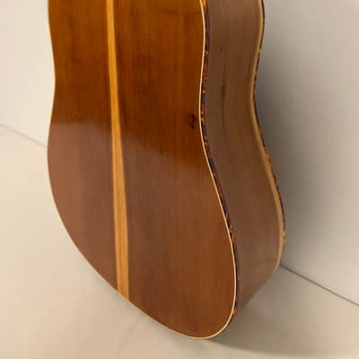 Maupin 12 String Acoustic Dreadnought 2021 image 7