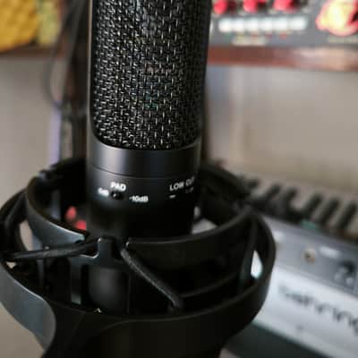 Sony C-100 Hi-Res Dual Capsule Condenser Microphone 2010s Black image 2