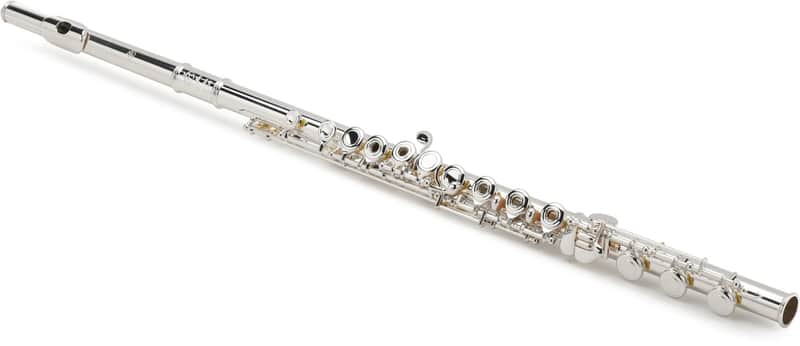 Di Zhao Flutes DZ 501 Intermediate Flute with Split E Mechanism image 1