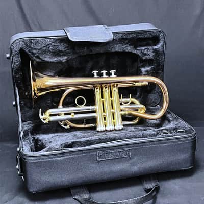 SCHILLER Shepards Crook Pro Elite Cornet in Brushed Rose 2019 image 20
