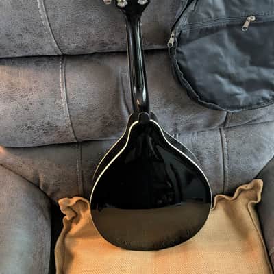 Rover A Style Mandolin w/ New Gig Bag image 3