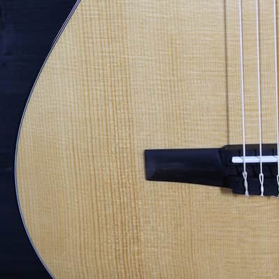Taylor 212ce-N Plus Nylon String Rosewood / Spruce Acoustic-Electric image 19