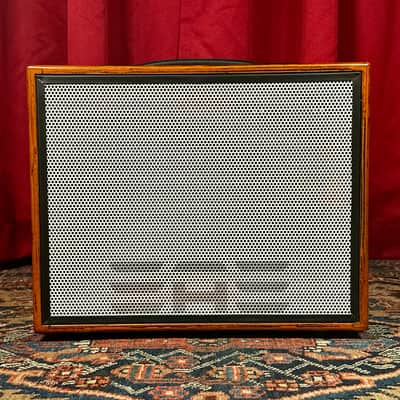Elite Acoustics D6-58 120-Watt Rechargeable 8” + 5” Acoustic Guitar/Multi-Chan Amplifier w/ Gig Bag image 2